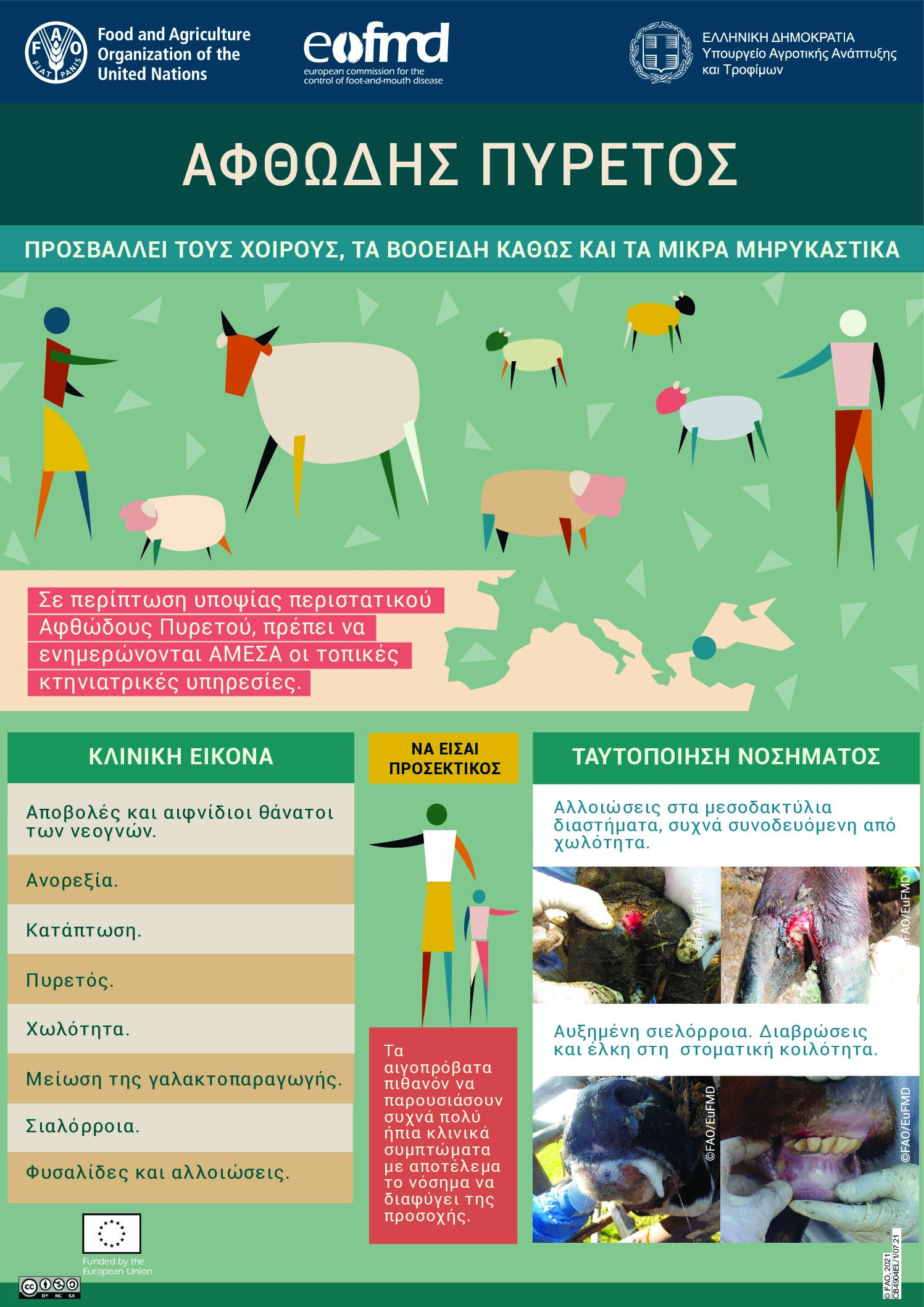 ΔΤ Ανακοίνωση Διεύθυνσης Κτηνιατρικής Περιφέρειας Κ.Μακεδονίας- Eνημέρωση για τον αφθώδη πυρετό